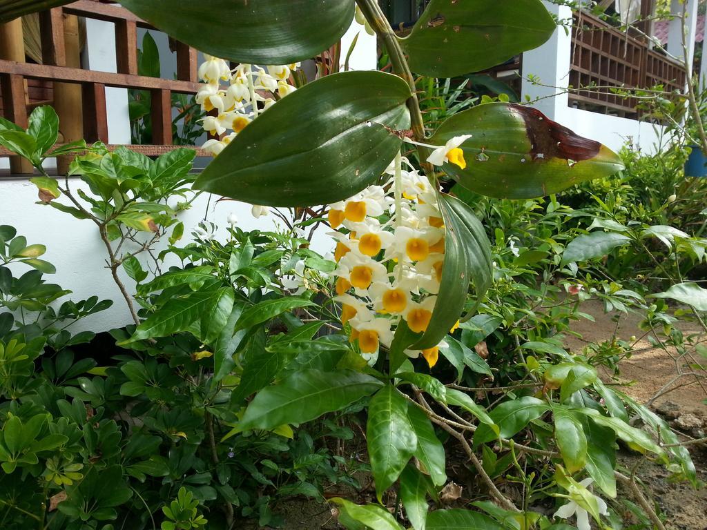 Benjamin'S Hut Srithanu Exterior foto